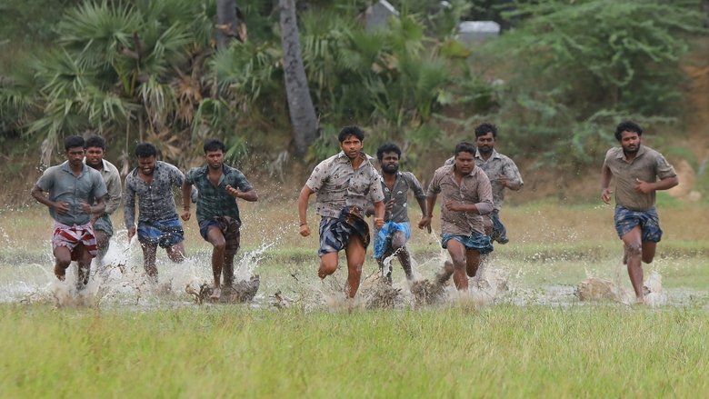 кадр из фильма பைசன் காளமாடன்