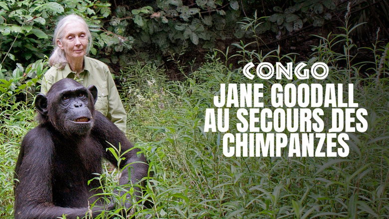 кадр из фильма Schimpansen im Kongo mit Jane Goodall