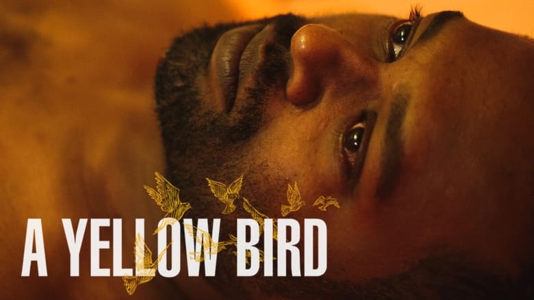 кадр из фильма A Yellow Bird