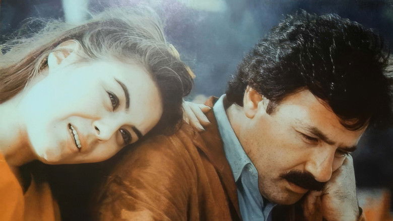 кадр из фильма Bu Şehrin Geceleri