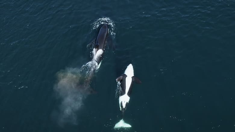 кадр из фильма Coextinction