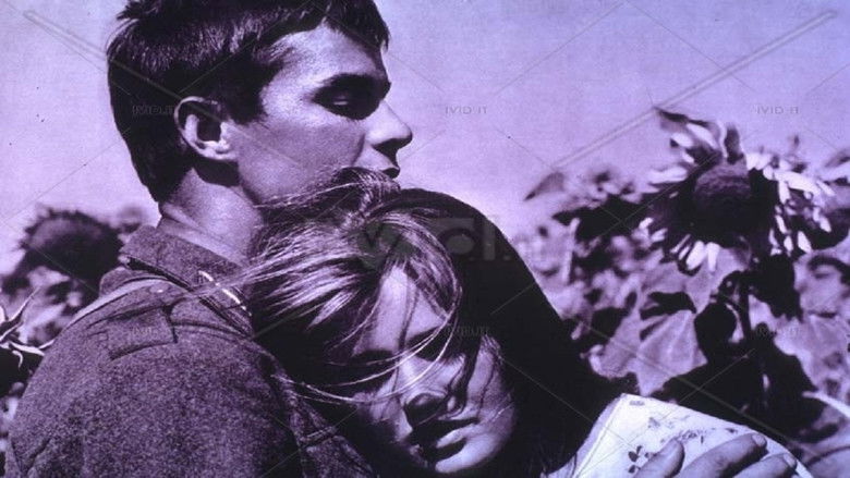 кадр из фильма Они шли на восток