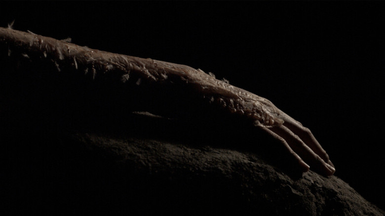 кадр из фильма Go Tell It To The Mountain