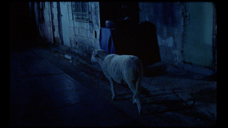 кадр из фильма Aunque es de noche