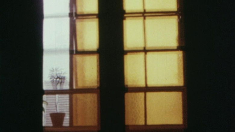 кадр из фильма A Través de las Ruinas