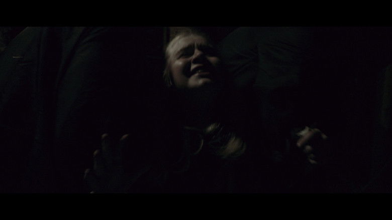 кадр из фильма Aerindor: The silent sacrifice