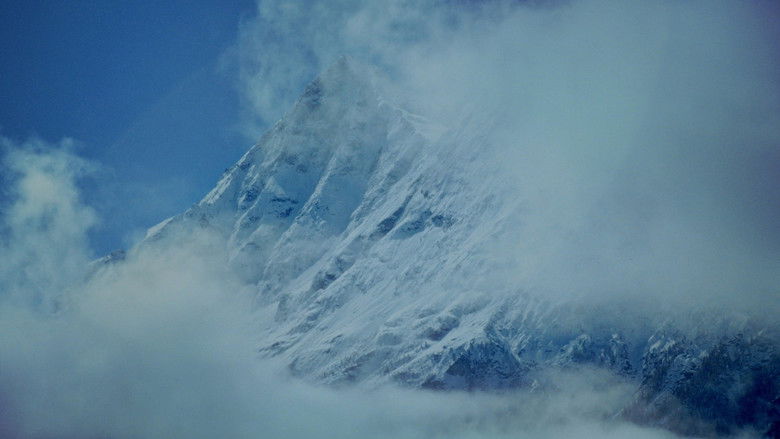 кадр из фильма Murmuration