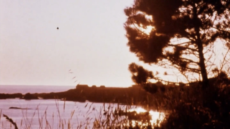 кадр из фильма Matter of Clarity