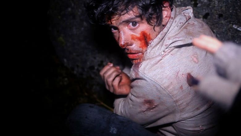 Ночь в лесу