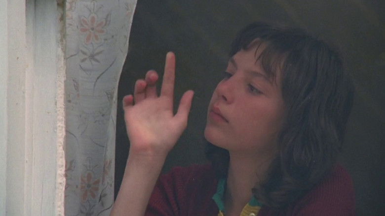 кадр из фильма Taureau