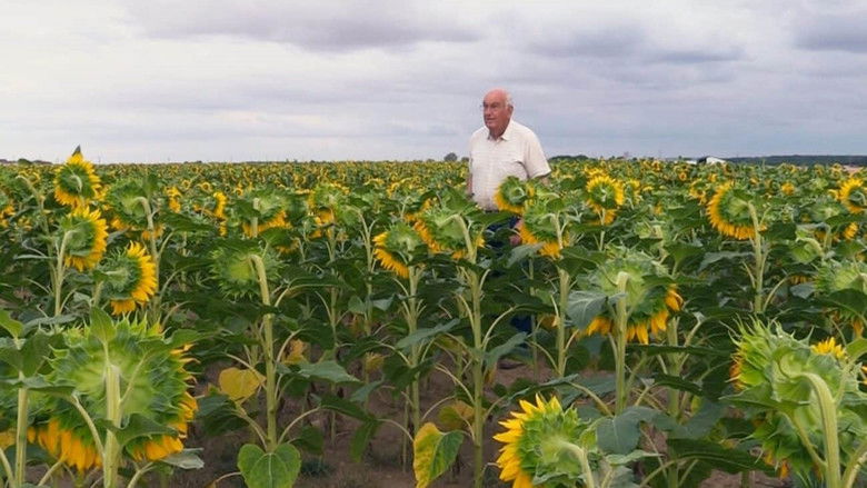 кадр из фильма Beau comme un tracteur