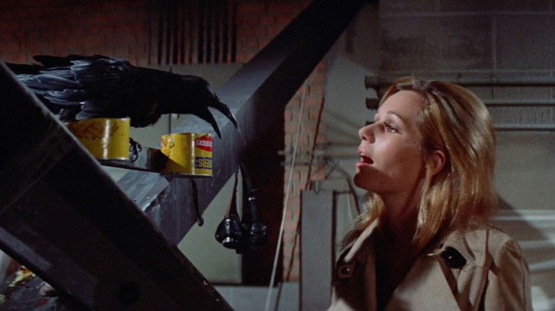 кадр из фильма Брюстер МакКлауд