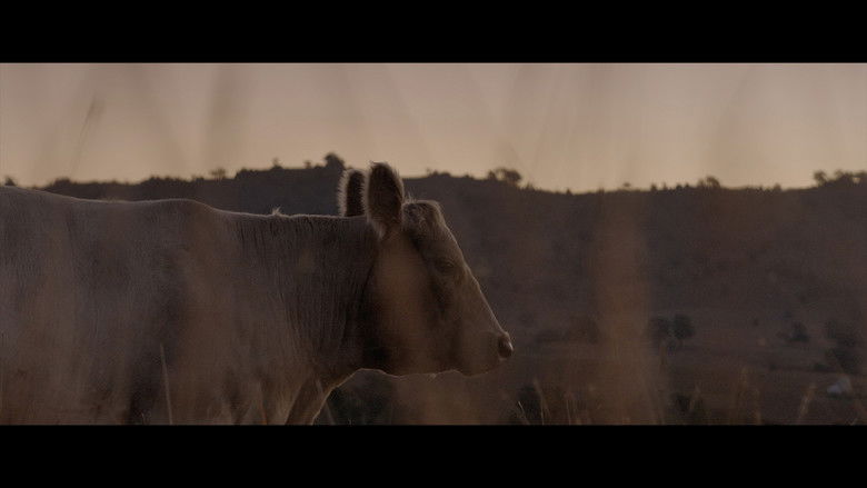 кадр из фильма With the Cattle