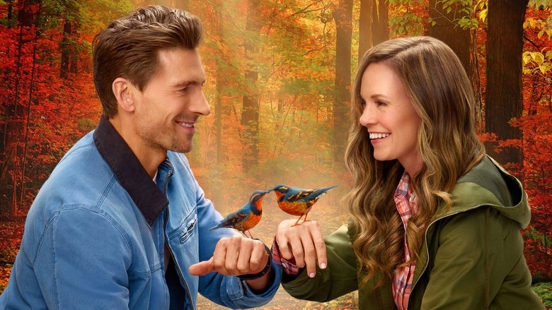 кадр из фильма Любовь, приключения и птицы