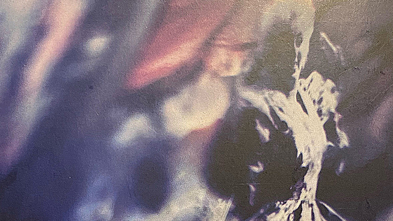 кадр из фильма Karin Bloemen: Bosje Bloemen