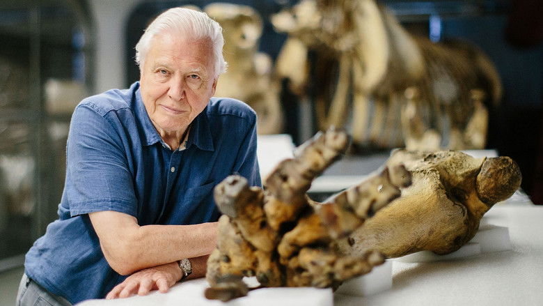 кадр из фильма Attenborough and the Giant Elephant