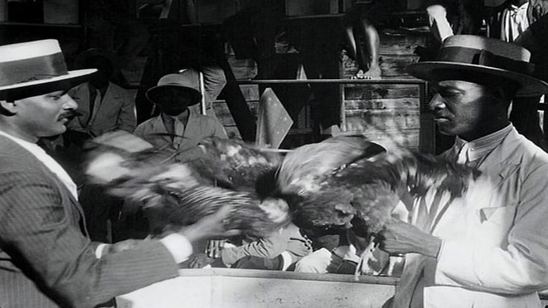 кадр из фильма Guadeloupe, le pays des Belles-Eaux