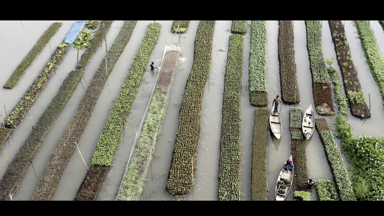 кадр из фильма Elements of(f) Balance