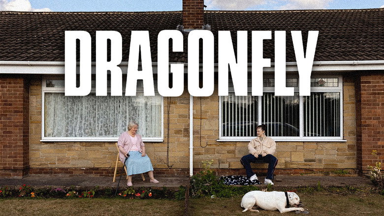 кадр из фильма Dragonfly