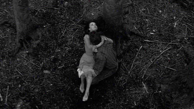 кадр из фильма Mademoiselle