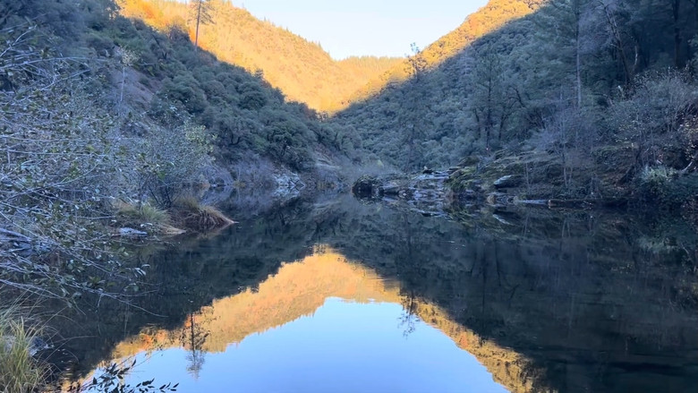 кадр из фильма Mushroom River