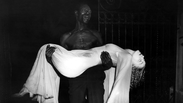 кадр из фильма Я гуляла с зомби