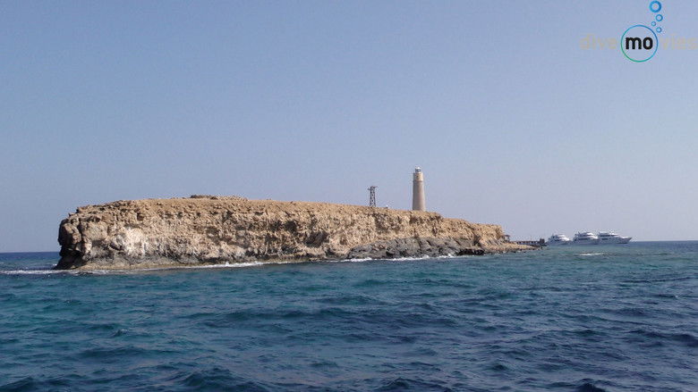 Unterwasserparadies: Rotes Meer