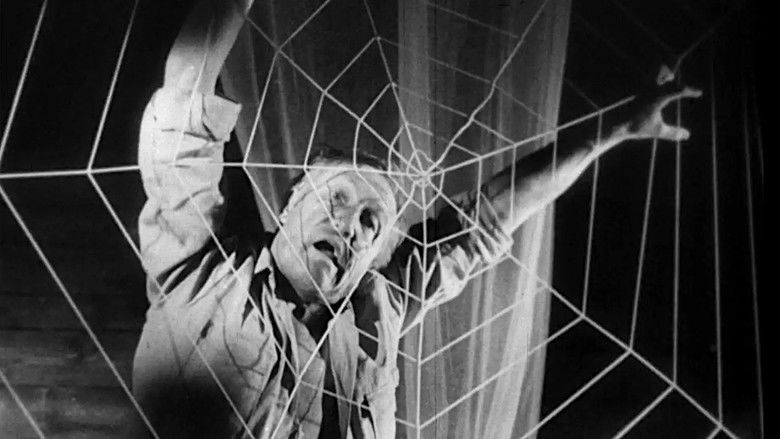 кадр из фильма Ужас паучьего острова