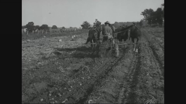кадр из фильма America's World War I Centennial