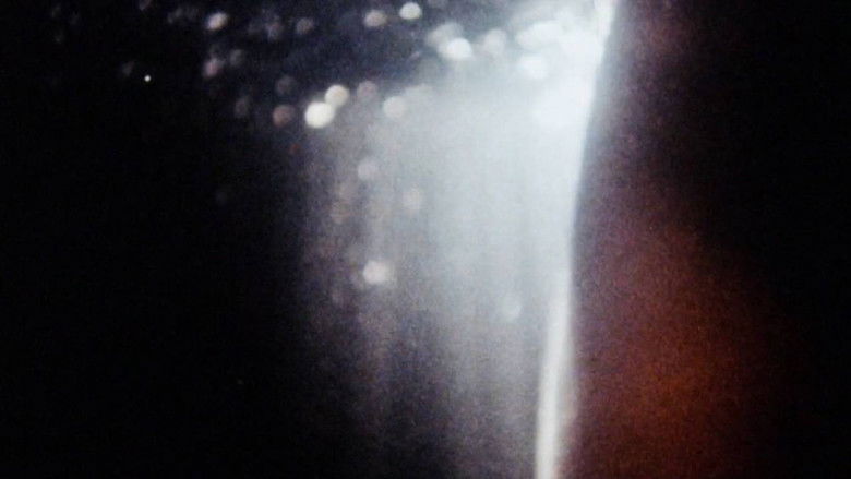 кадр из фильма Maternal Filigree