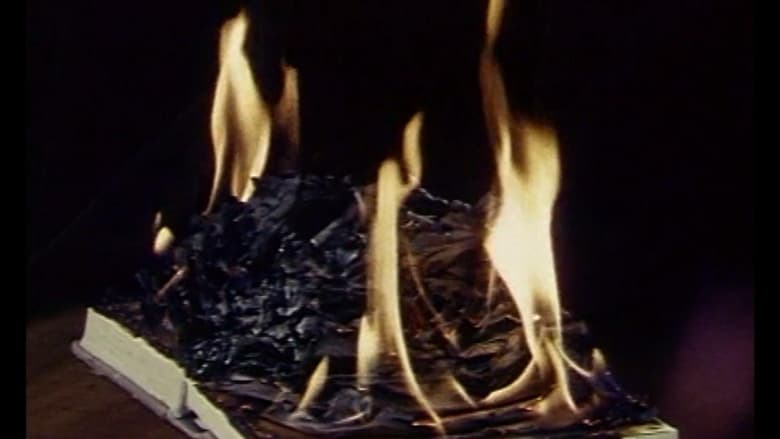 кадр из фильма Brennu-njálssaga