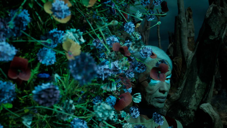 кадр из фильма When the Moon Sings