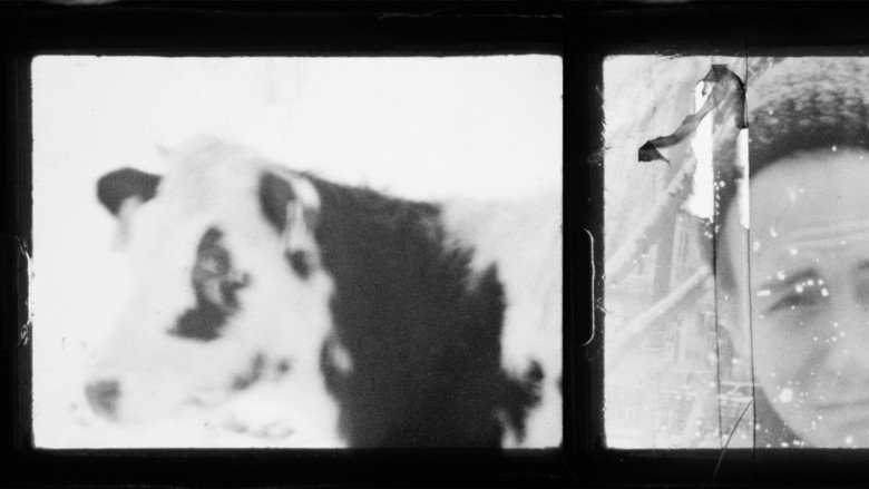 Коровий Вал