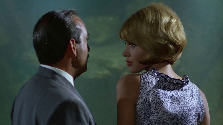 кадр из фильма Фата Моргана