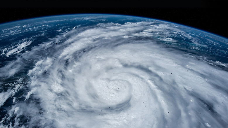 кадр из фильма 2022: The Year from Space