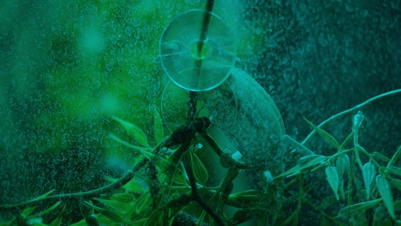 кадр из фильма Estamos no Ar