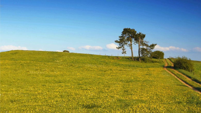 кадр из фильма The Harmony Files