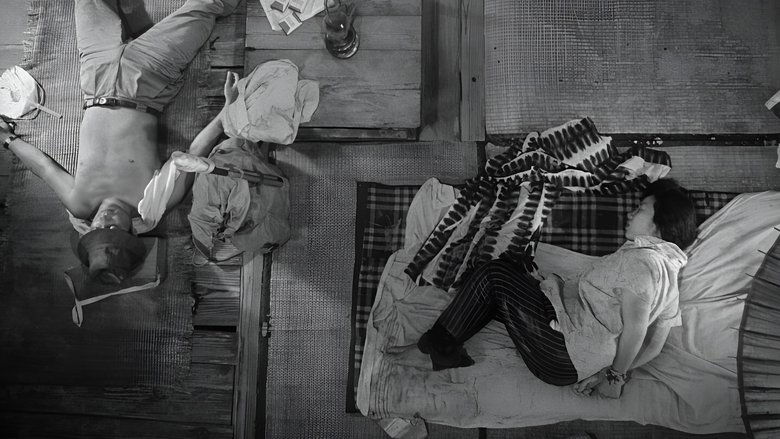 кадр из фильма Женщина в песках