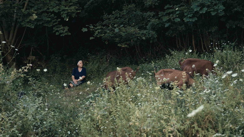 кадр из фильма Τα τέρματα του Αυγούστου