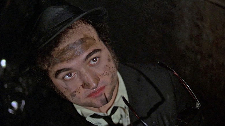 кадр из фильма Братья Блюз