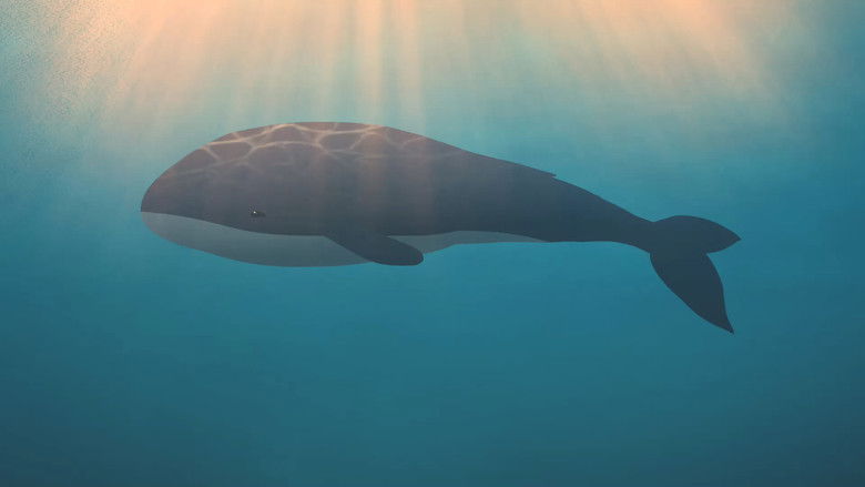 кадр из фильма CITSALP