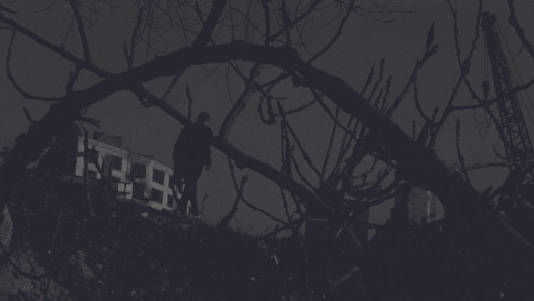 кадр из фильма Dedicated to the One Eye Love