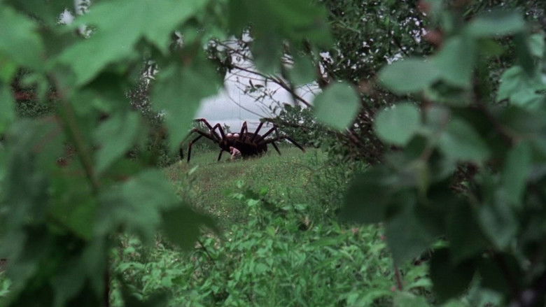 кадр из фильма Вторжение гигантских пауков