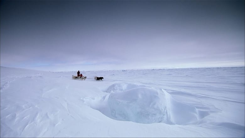 кадр из фильма Top Gear: Polar Special