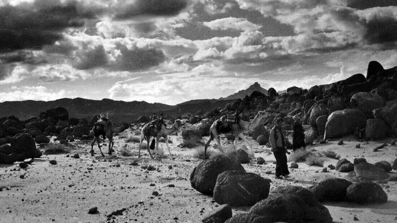 кадр из фильма Le Grand Désert