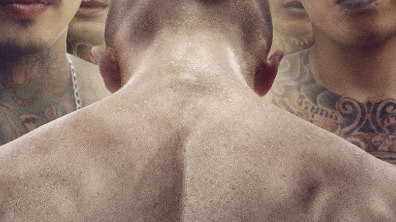 кадр из фильма Бои без правил