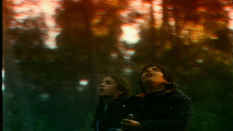 кадр из фильма O Território