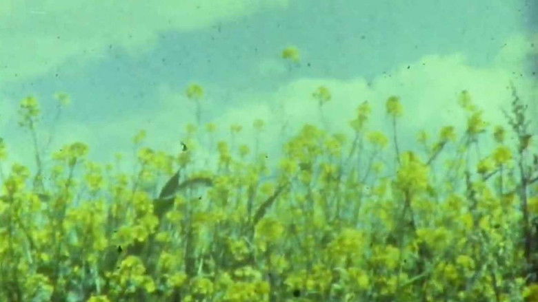 кадр из фильма Мої вихідні