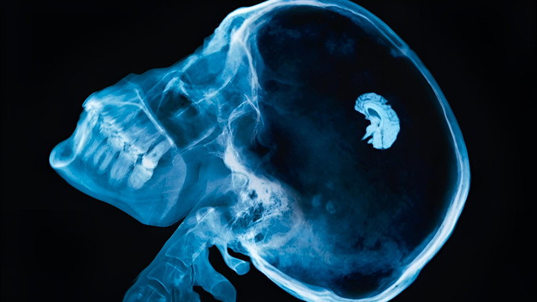 кадр из фильма Эвакуация из XXI века