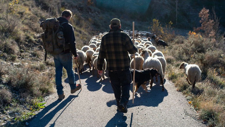 кадр из фильма Vivre avec les loups